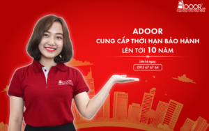 Chính sách bảo hành